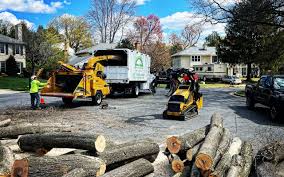 Best Storm Damage Tree Cleanup  in Algoma, WI