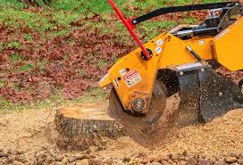 Best Tree Mulching  in Algoma, WI
